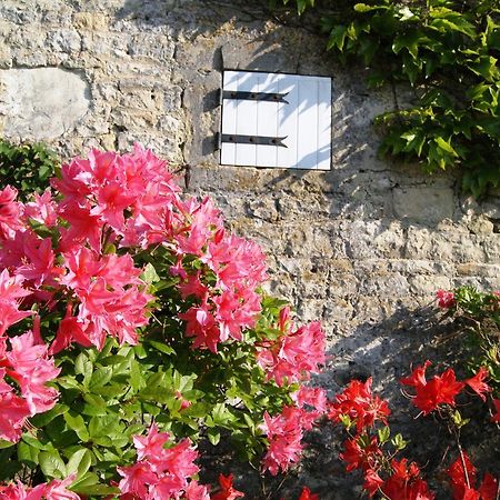 Manoir de la Pataudière B&B Villers-Canivet Extérieur photo